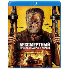 Sisu 2 (Sisu: Road to Revenge) [Blu-ray]