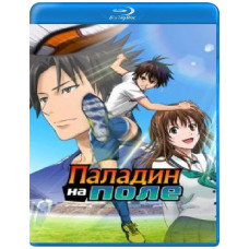Паладін на полі (1 сезон) [2 Blu-ray]