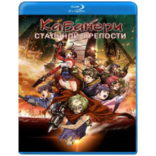 Кабанери залізної фортеці (1 сезон) [Blu-ray]