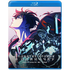 Підняття рівня поодинці (1-2 сезон) [2 Blu-ray]