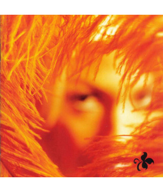 Stone Temple Pilots – Shangri-La Dee Da (2001) (CD Audio)