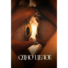 Одно целое [DVD]