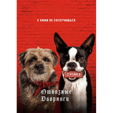 Отвязные дворняги [DVD]