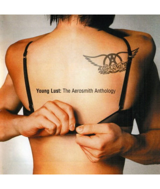 Aerosmith – Young Lust: The Aerosmith Anthology (2cd) (2001) (CD Audio)