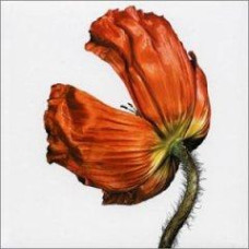 Pet Shop Boys – Release (2002) (CD Audio) Pet Shop Boys – Release (2002) (CD Audio)