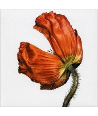 Pet Shop Boys – Release (2002) (CD Audio)