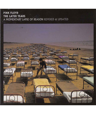 Pink Floyd – A Momentary Lapse Of Reason (Remixed & Updated) (2cd, digipak) (2019) (CD Audio)