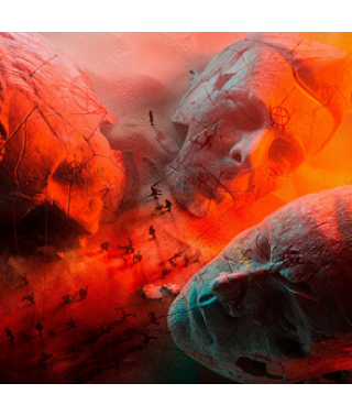 Muse – Will of the People (Vinyl, LP)