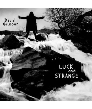 David Gilmour – Luck and Strange (2024) (CD Audio)