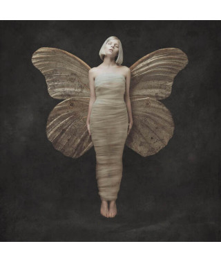 Aurora – All My Demons Greeting Me As A Friend (Vinyl, LP) Aurora – All My Demons Greeting Me As A Friend (Vinyl, LP)