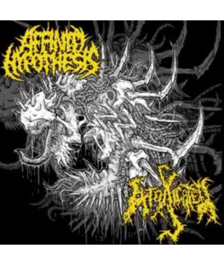 Affinity Hypothesis / Intoxicated – Split CD (2012) (CD Audio)
