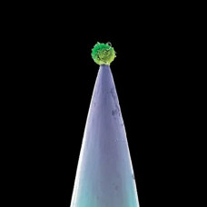 Peter Gabriel – New Blood (2011) (CD Audio) Peter Gabriel – New Blood (2011) (CD Audio)