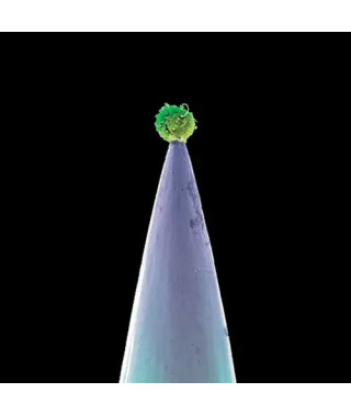 Peter Gabriel – New Blood (2011) (CD Audio)