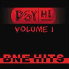 Psy-Hi Records Volume 1 – Bne Hits /2 Cd/ (CD Audio) Psy-Hi Records Volume 1 – Bne Hits /2 Cd/ (CD Audio)