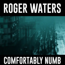 Roger Waters – Comfortably Numb (2022) (CD-Audio)