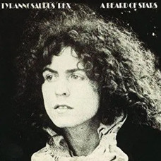 T. Rex – A Beard Of Stars (1970) (CD Audio)