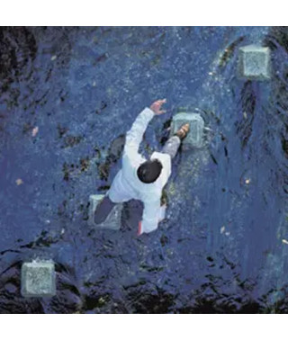 The Alan Parsons Project – A Valid Path (2004) (CD Audio)