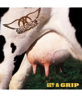 Aerosmith – Get A Grip (Vinyl, 2LP)