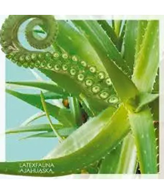Latexfauna – AJAHUASKA SEASON 1 (Vinyl, LP)