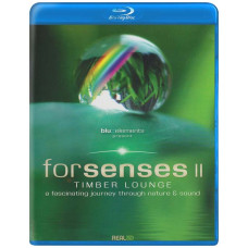 Forsenses II - Timber Lounge • A Fascinating Journey through Nat Forsenses II - Timber Lounge • A Fascinating Journey through Nat