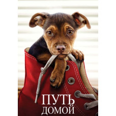 Шлях додому [DVD]