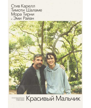 Красивый мальчик [DVD]