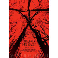 Ведьма из Блэр: Новая глава [DVD]