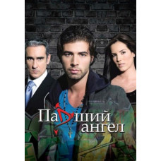 Падший ангел [12 DVD]
