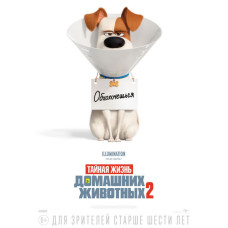 The Secret Life of Pets 2 [DVD]