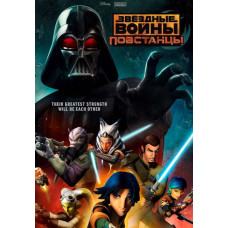 Звездные войны: Повстанцы (1-4 сезон) [4 DVD]