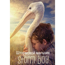Штормовой мальчик [DVD]