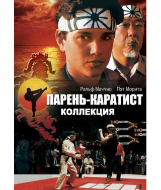 Хлопець-каратист (колекція) [4 DVD]
