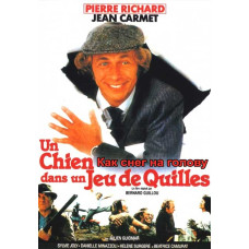 Как снег на голову (Невпопад) [DVD]