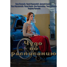 Miracle on Schedule [DVD]