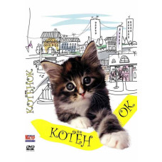 Котёнок [DVD]
