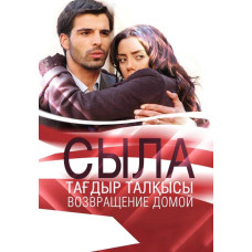 Сила. Повернення додому (1-3 сезон) [8 DVD]