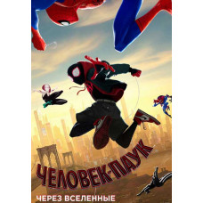  Spider-Man : Into the Spider-Verse [DVD]