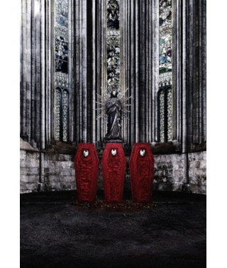 BABYMETAL - Babymetal [DVD]