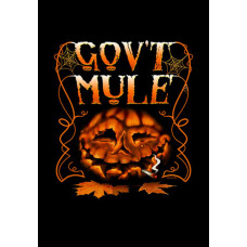 Gov t Mule - Dark Side Of the Mule [DVD]