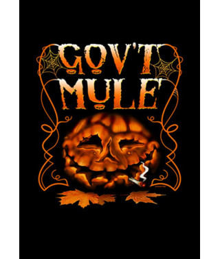 Gov t Mule - Dark Side Of the Mule [DVD]