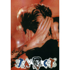 Stray Cats - Live at Rockpalast [DVD]
