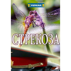 Бабка [DVD]
