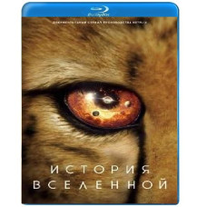 Історія Всесвіту (Наш Всесвіт) [Blu-ray]