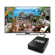 Collection of documentaries HD (1TB) Collection of documentaries HD (1TB)