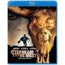 Старикам тут не место [Blu-ray]