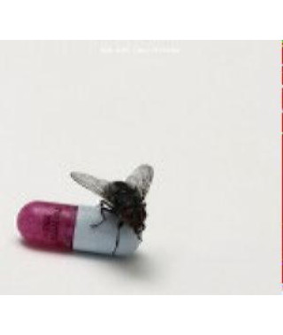Red Hot Chili Peppers – I’M With You (2011) (CD Audio)
