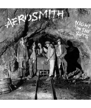 Aerosmith – Night In The Ruts (1979) (CD Audio)