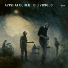  Avishai Cohen – Big Vicious (2020) (CD Audio )