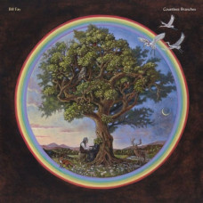 Bill Fay – Countless Branches (2020) (CD Audio )  Bill Fay – Countless Branches (2020) (CD Audio )