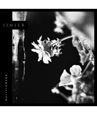 Jinjer – Wallflowers (2021) (CD Audio)